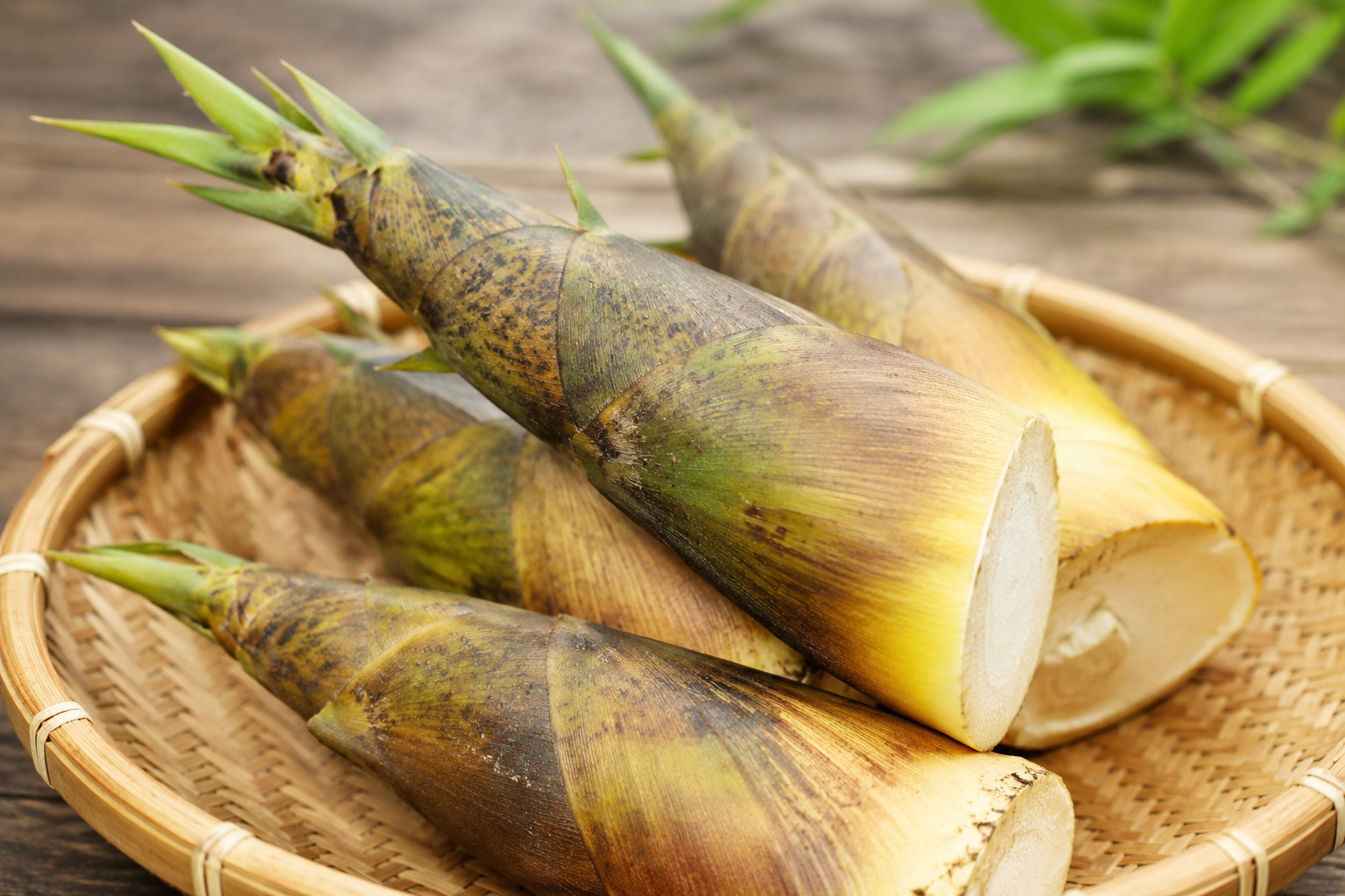 Khorisa (Bamboo Shoot)